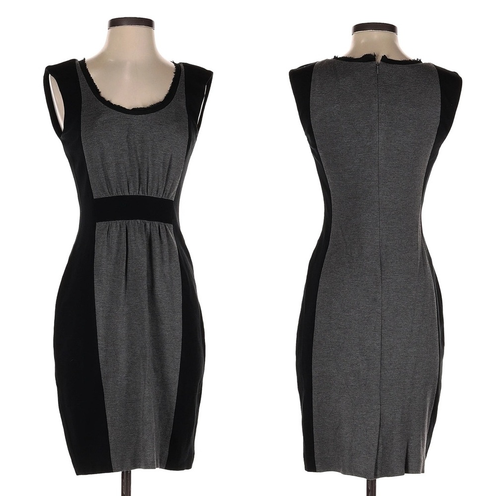 Banana Republic Muriel Color Block Sheath Dress (size S)